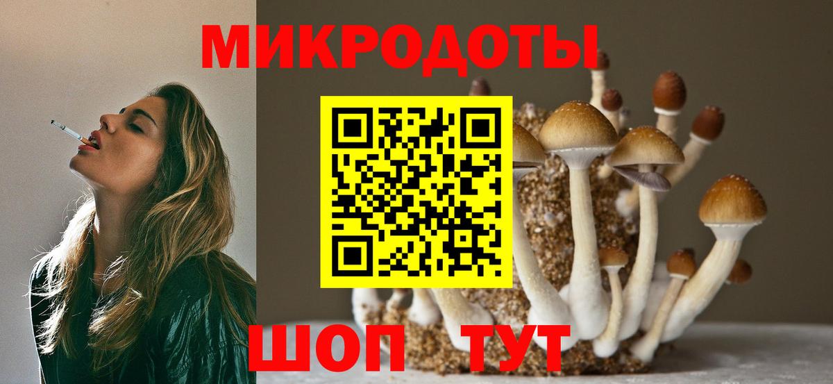 продажа наркотиков  Вход с VPN  Ачхой-Мартан  Галлюциногенные грибы Magic Shrooms 